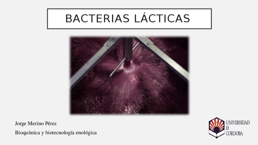 Miniatura del documento Bacterias-lacticas.pptx
