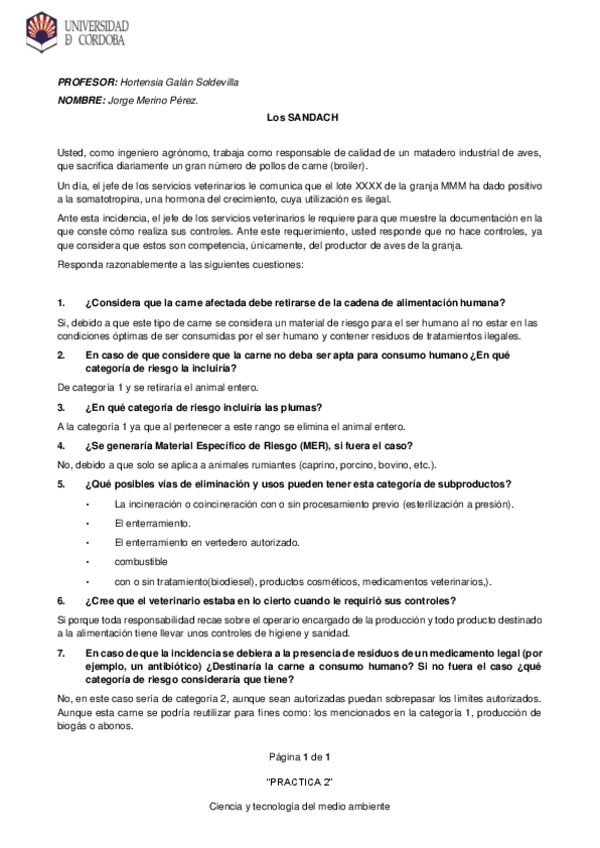 Miniatura del documento SANDACH.pdf