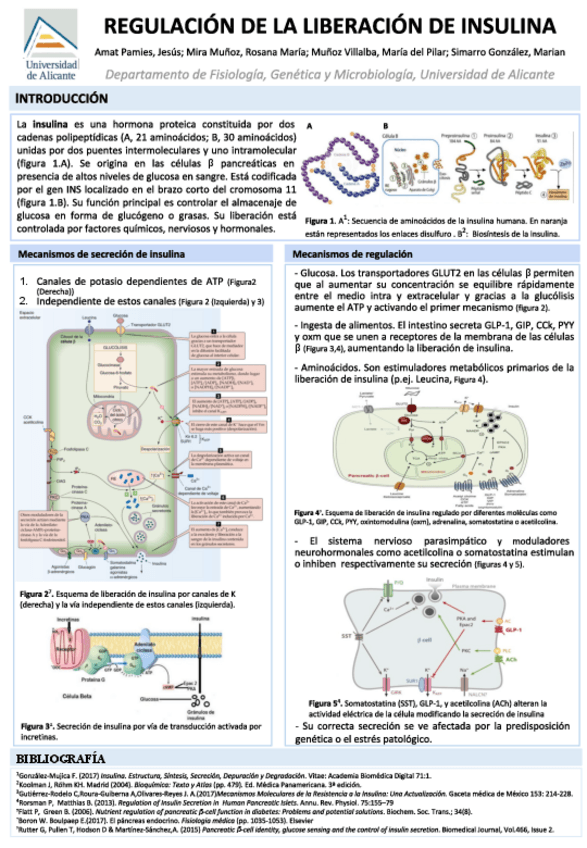 Miniatura del documento poster-revisar.pdf