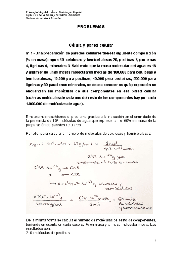 Miniatura del documento PROBLEMAS-resueltos.pdf