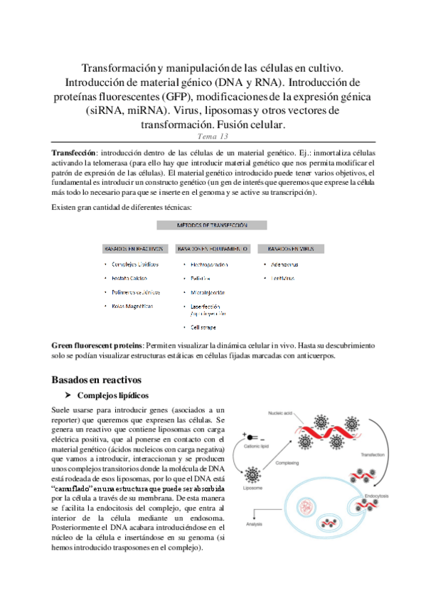 Miniatura del documento Bloque-IV.pdf