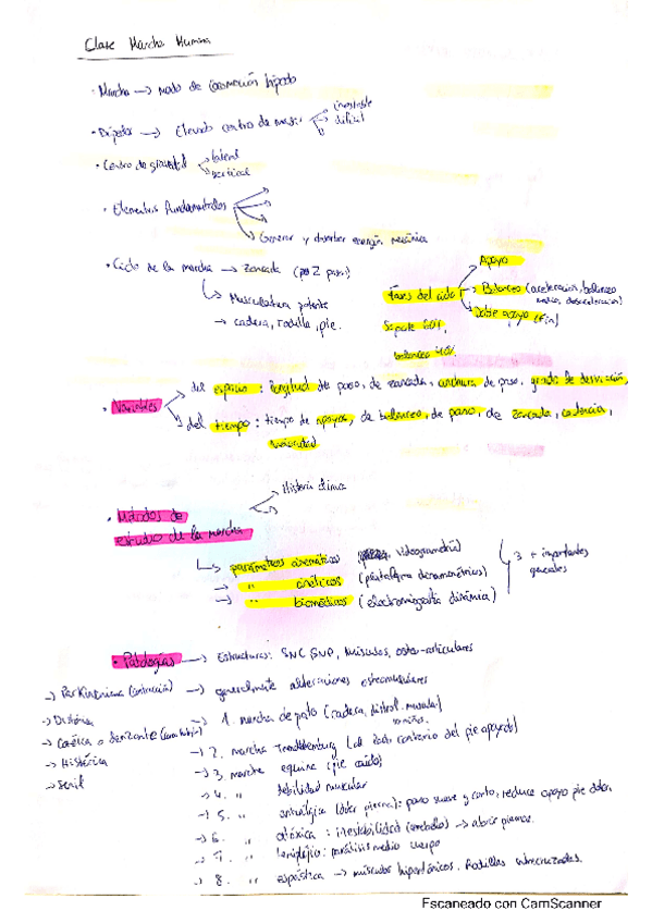 Miniatura del documento Solidos-Parte-Biomedica.pdf