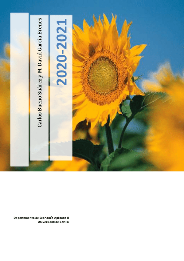 Miniatura del documento Enunciados-y-ejercicios-resueltos-balances-2020-21.pdf