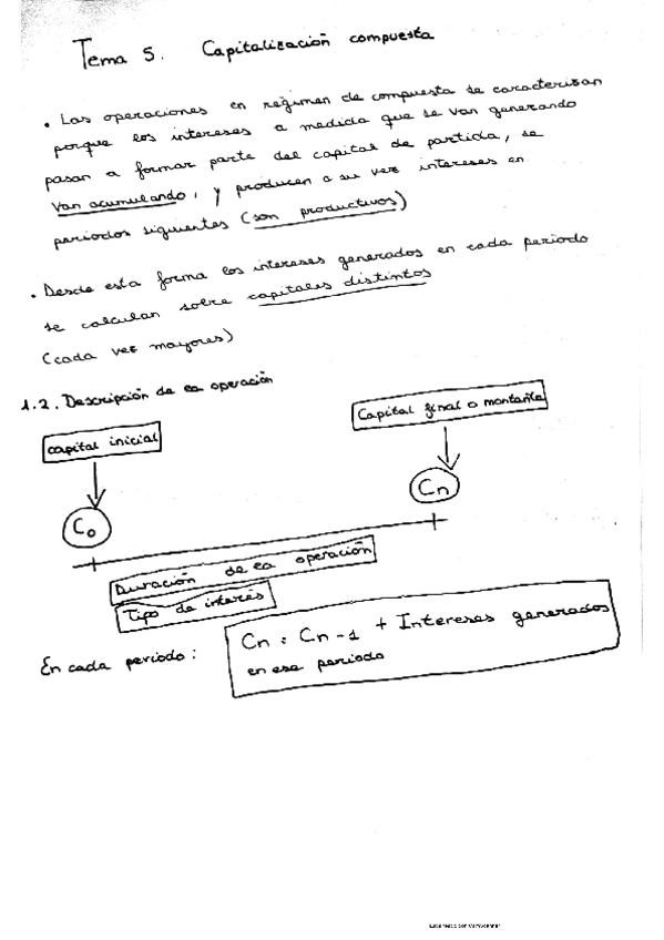 Miniatura del documento Capitalizacion-compuesta-resumen.pdf