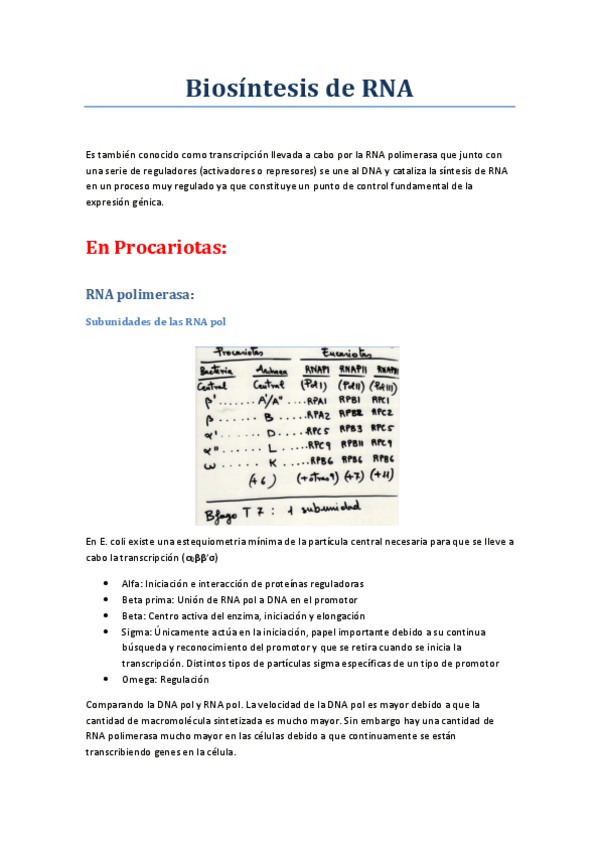 Miniatura del documento Biosíntesis de RNA.pdf