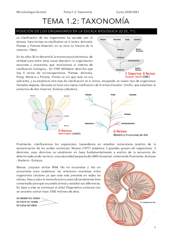 Miniatura del documento t1.pdf
