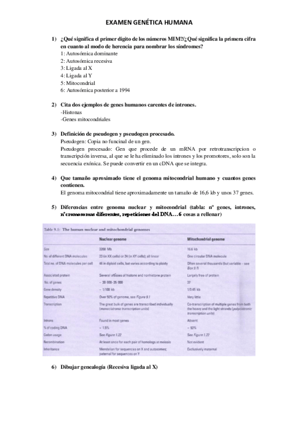 Miniatura del documento PREGUNTAS-GENETICA-RESPONDIDAS.pdf