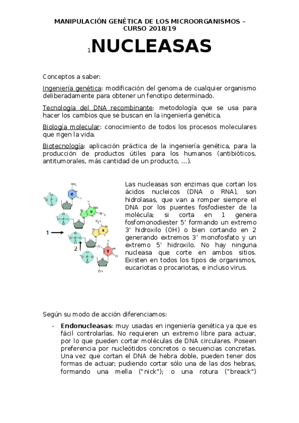 Miniatura del documento AAPUNTES.docx