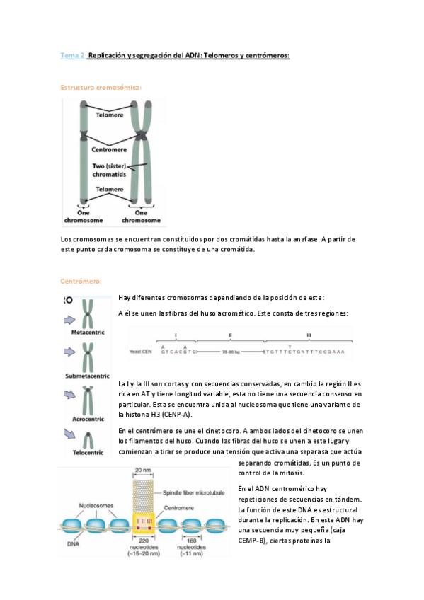 Miniatura del documento Tema 2.pdf