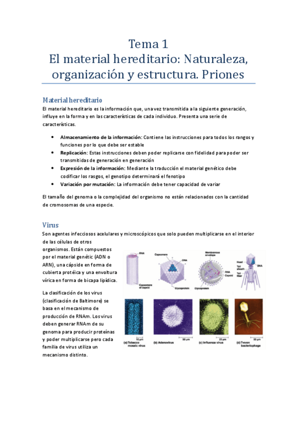 Miniatura del documento Tema 1.pdf