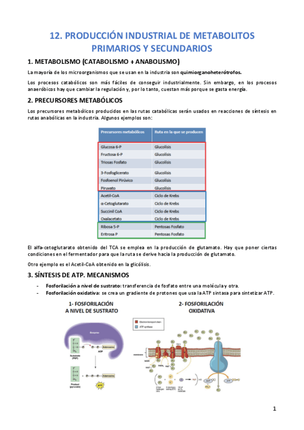 Miniatura del documento TEMA-12-MICRO.pdf