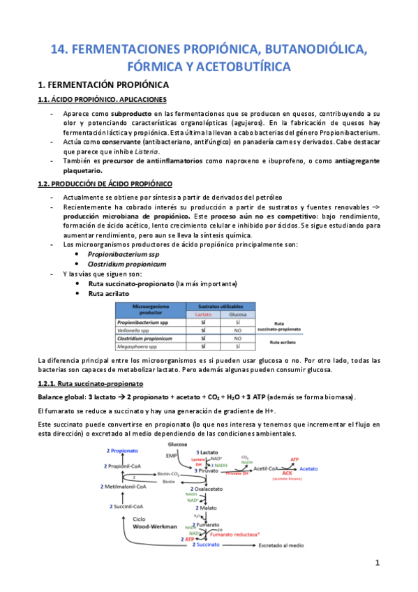 Miniatura del documento TEMA-14-MICRO.pdf