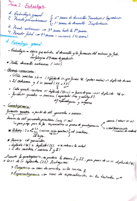 Miniatura del documento t2-embriologia-claudia-callejo.pdf