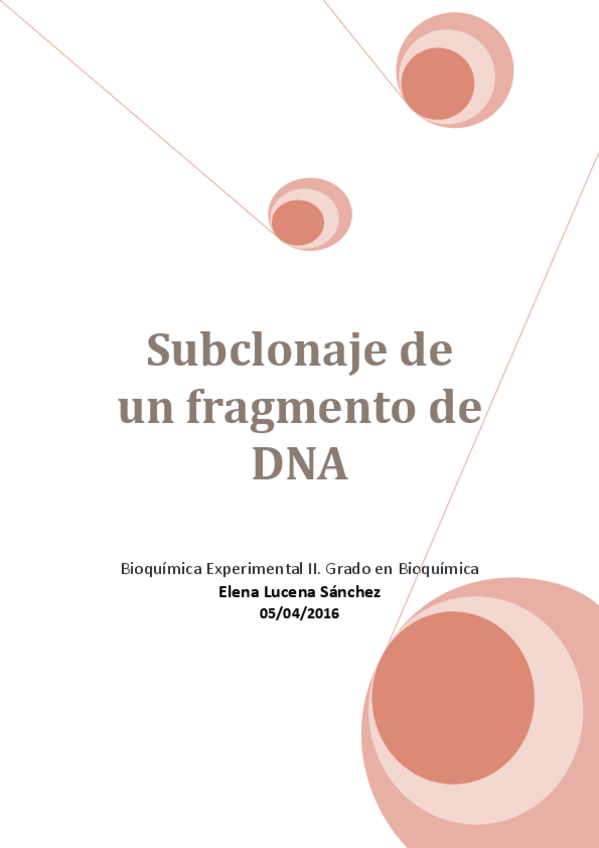 Miniatura del documento Protocolo Bioquímica Experimental II.pdf