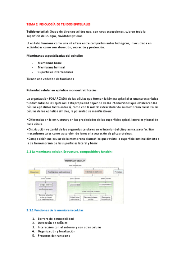Miniatura del documento Fisología_tema_2.pdf