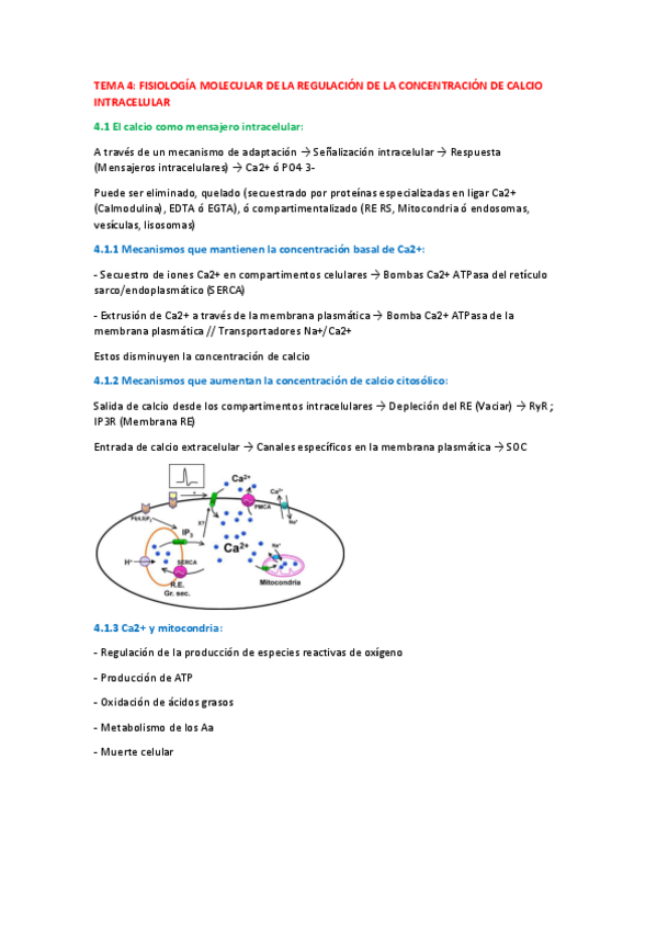 Miniatura del documento Fisiología_tema_4.pdf