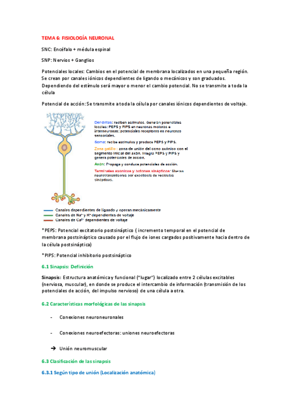 Miniatura del documento Fisiología_tema_6.pdf