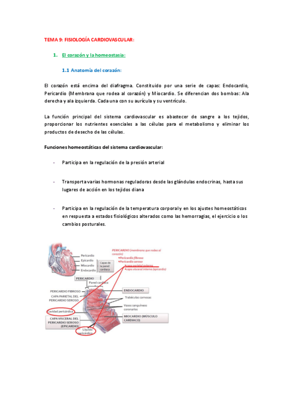 Miniatura del documento Fisiologia_tema_9.pdf