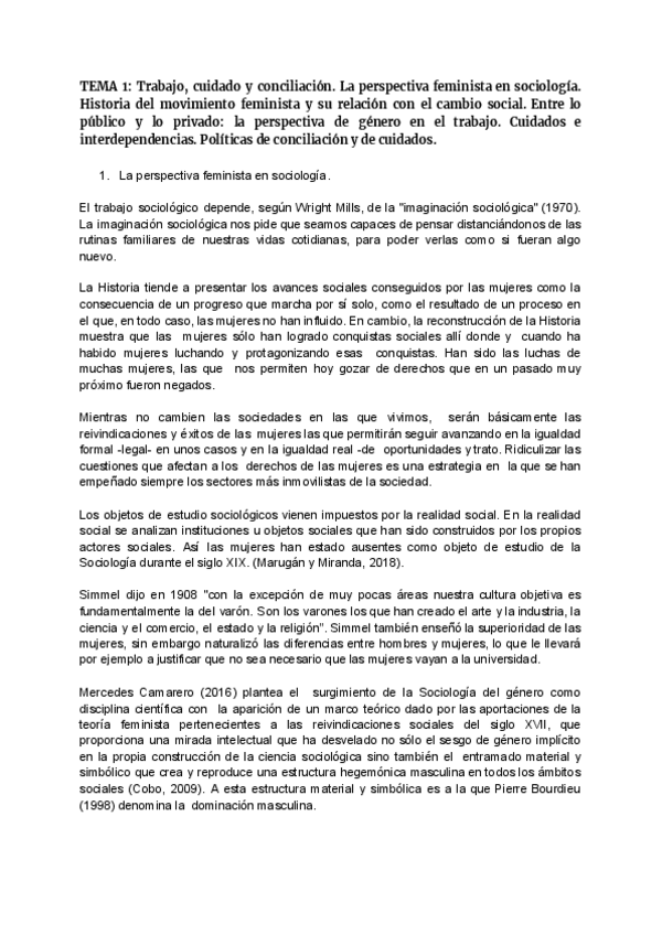 Miniatura del documento TEMA-1-PERSPECTIVAS-FEM-ROSER.pdf