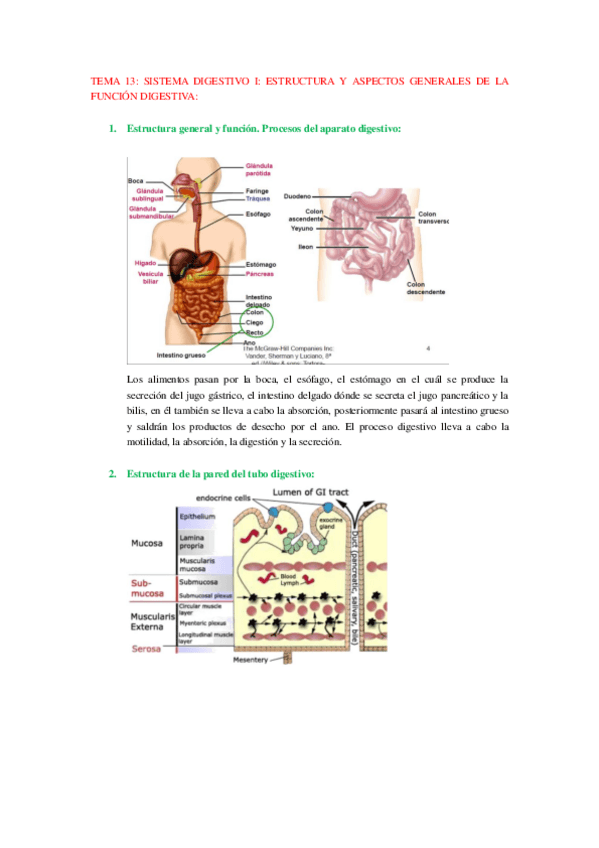 Miniatura del documento Fisiología tema 13.I..pdf