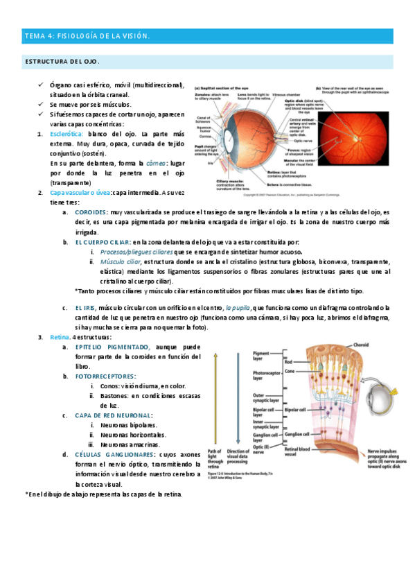 Miniatura del documento TEMA-4.pdf