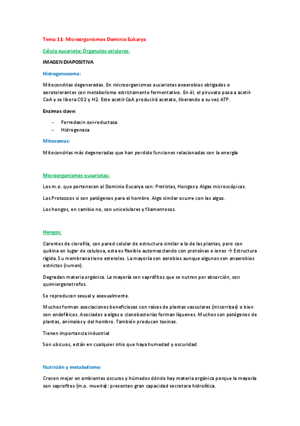 Miniatura del documento Microbiología.Tema 11.pdf