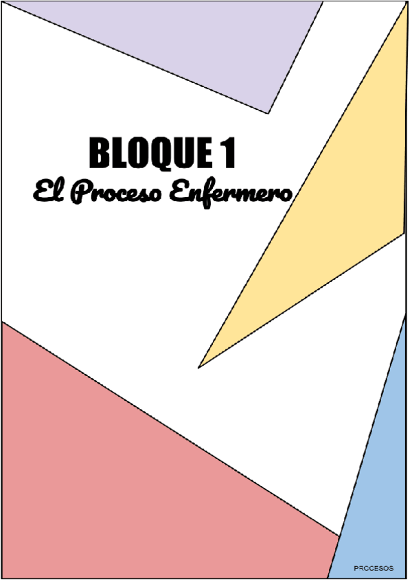 Miniatura del documento BLOQUE-1-El-proceso-enfermero.pdf