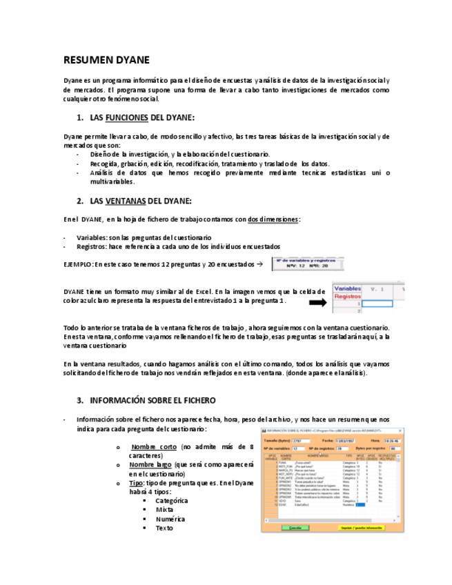 Miniatura del documento RESUMEN-DYANE.pdf