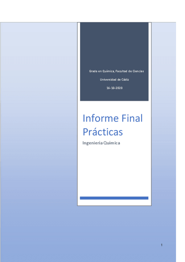 Miniatura del documento Informe-Final-de-Practicas-Pareja-7-1.pdf