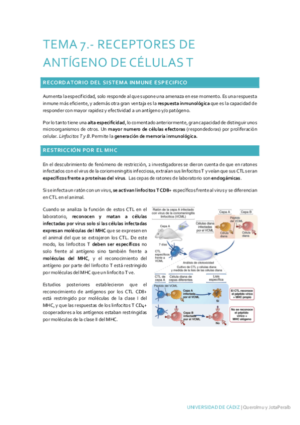 Miniatura del documento Tema-7.pdf