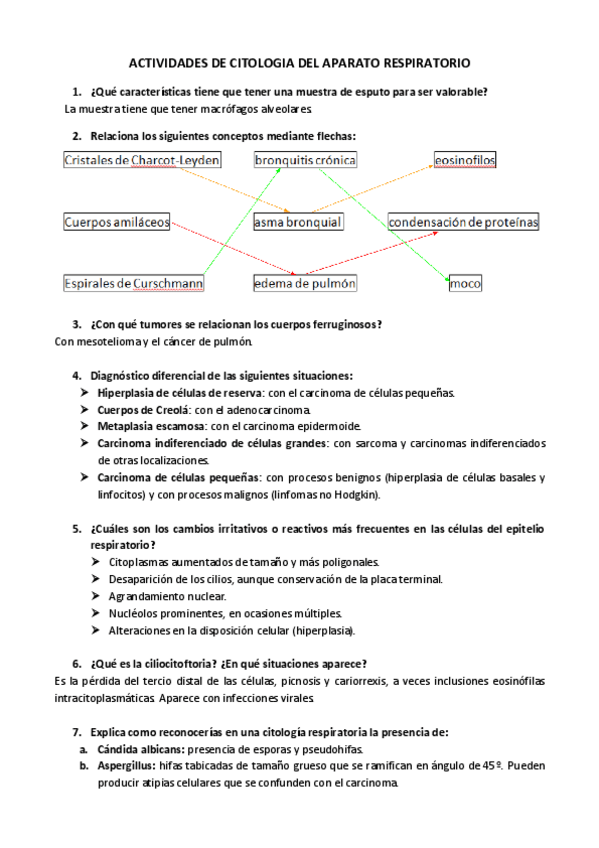Miniatura del documento UD-4.pdf