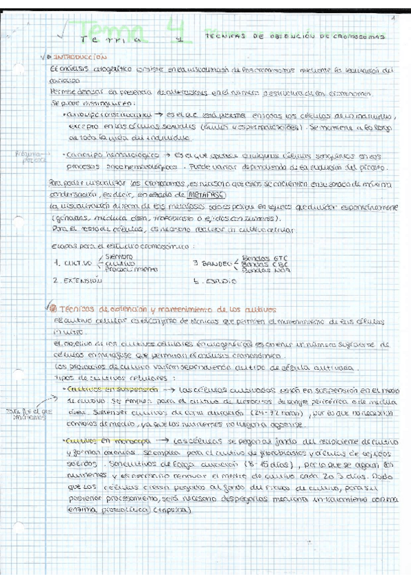 Miniatura del documento TEMA-4-Biologia-Molecular.pdf