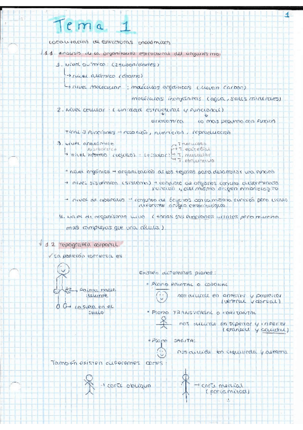 Miniatura del documento TEMA-1-FISIOPATOLOGIA.pdf