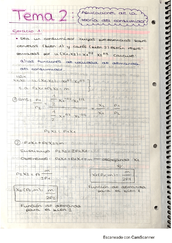 Miniatura del documento Micro-TEMA-2-ejercicios-resueltos.pdf