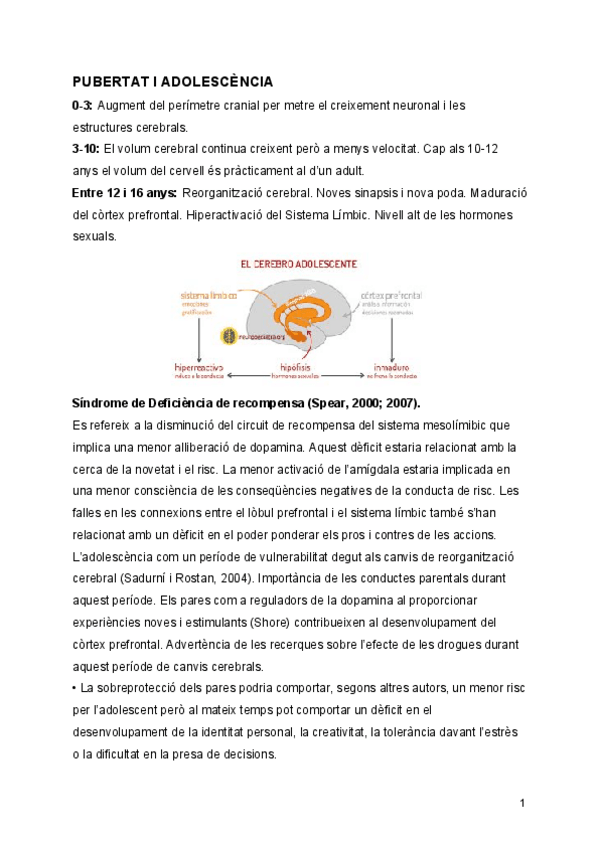 Miniatura del documento PUBERTAD-I-ADOLESCENCIA-Sadurni.pdf