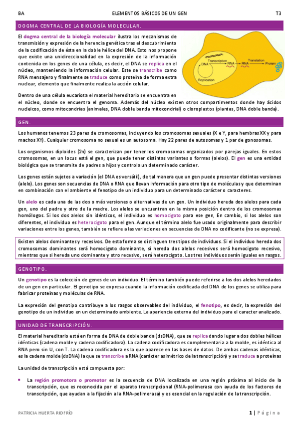 Miniatura del documento T3.pdf