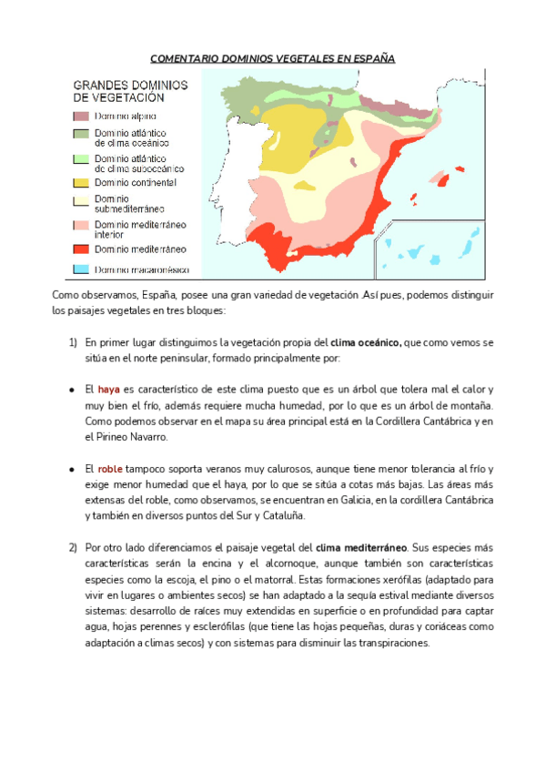Miniatura del documento Practica-tema-4-GEOGRAFIA.pdf