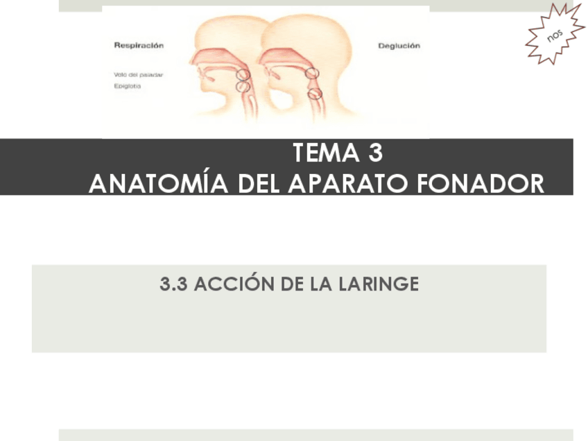Miniatura del documento 3.pdf