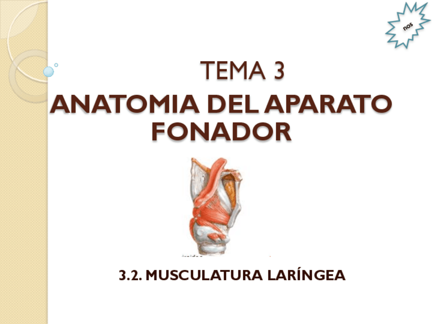 Miniatura del documento 3.pdf