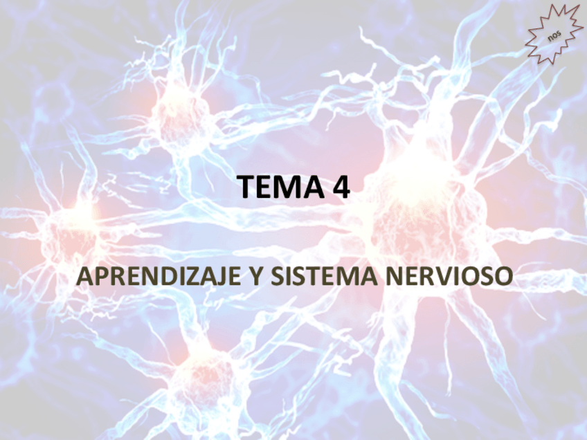 Miniatura del documento Tema-4Aprendizaje-y-SN.pdf