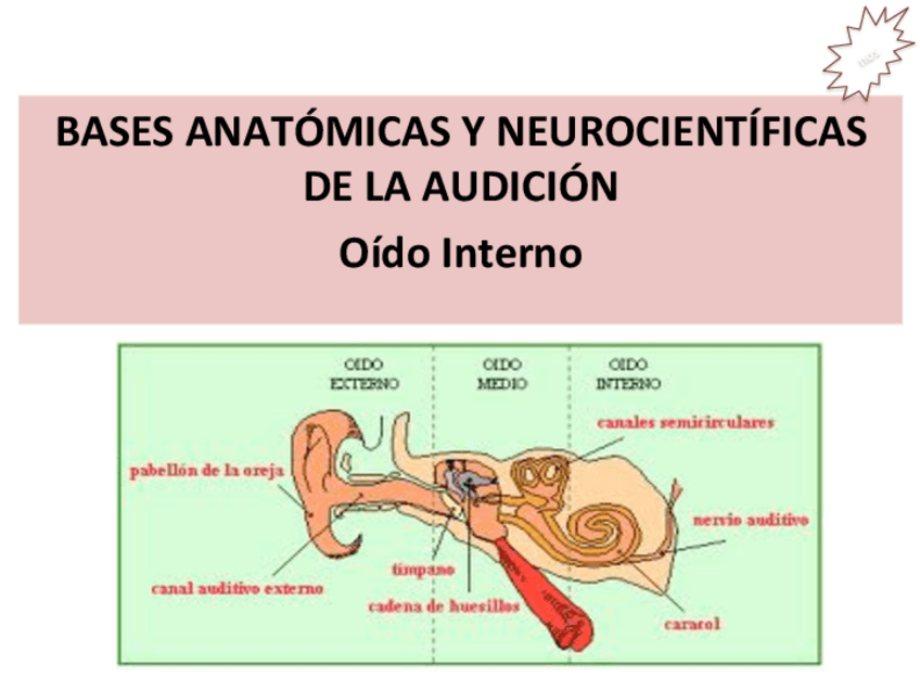 Miniatura del documento Tema-2.pdf