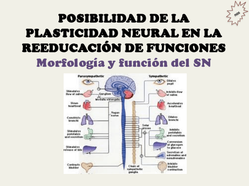 Miniatura del documento TEMA-1SN.pdf