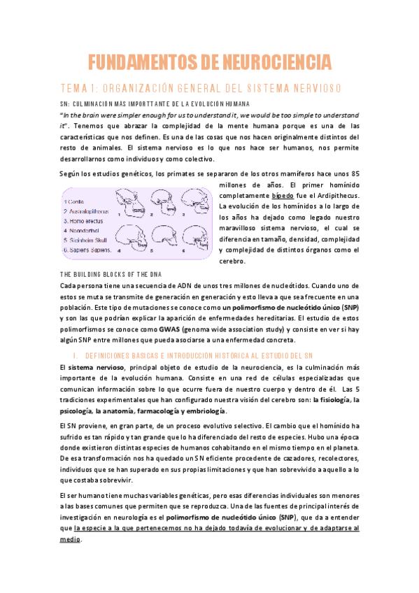 Miniatura del documento NRUTOCIENCIAST1Organizacion-del-SN.pdf