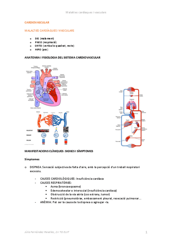 Miniatura del documento 1.pdf