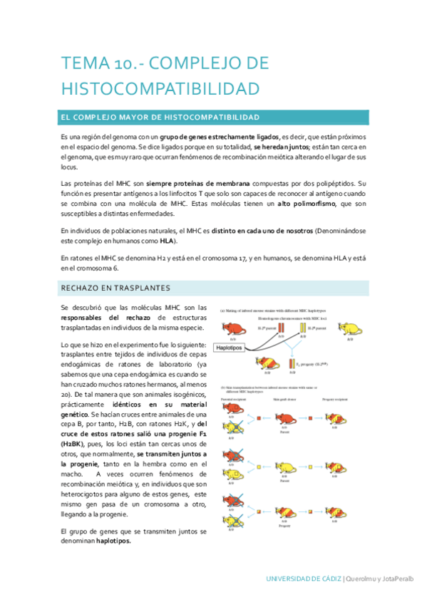 Miniatura del documento Tema-10.pdf