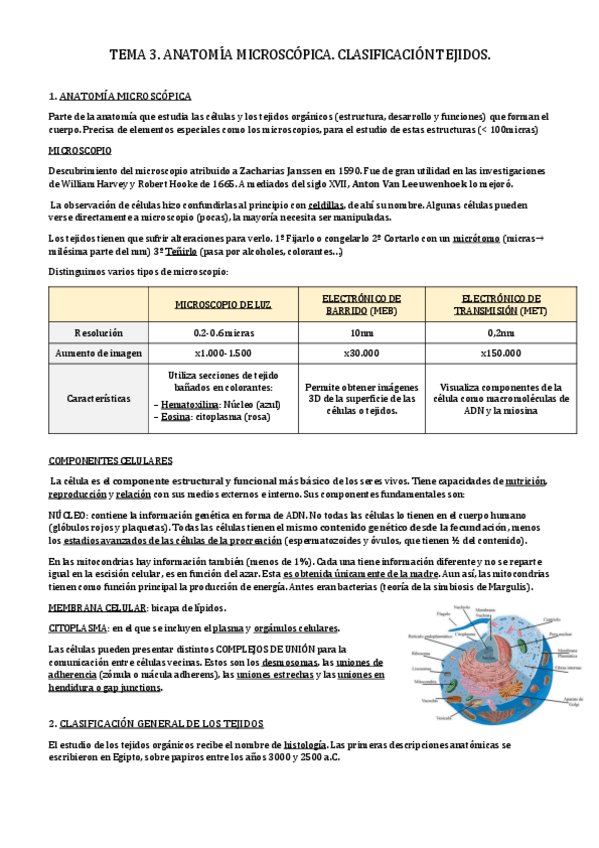 Miniatura del documento TEMA 3 y 4.pdf
