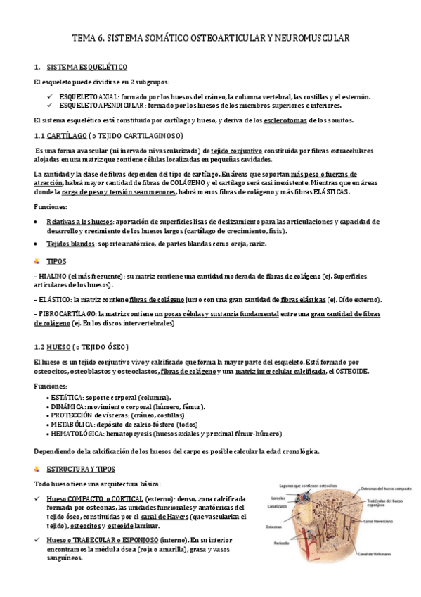 Miniatura del documento TEMA-6.pdf