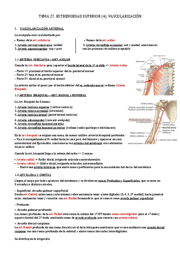 Miniatura del documento TEMA-27.pdf
