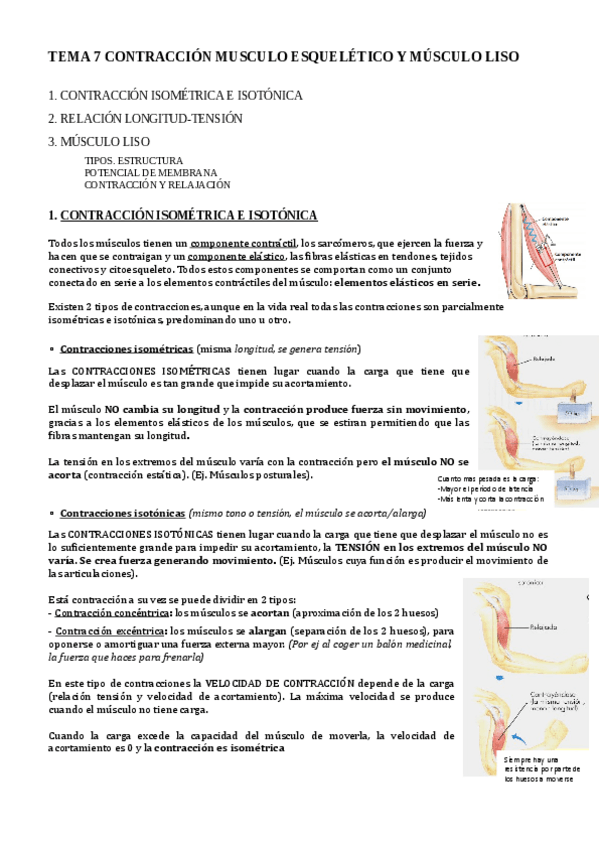 Miniatura del documento TEMA-7.pdf