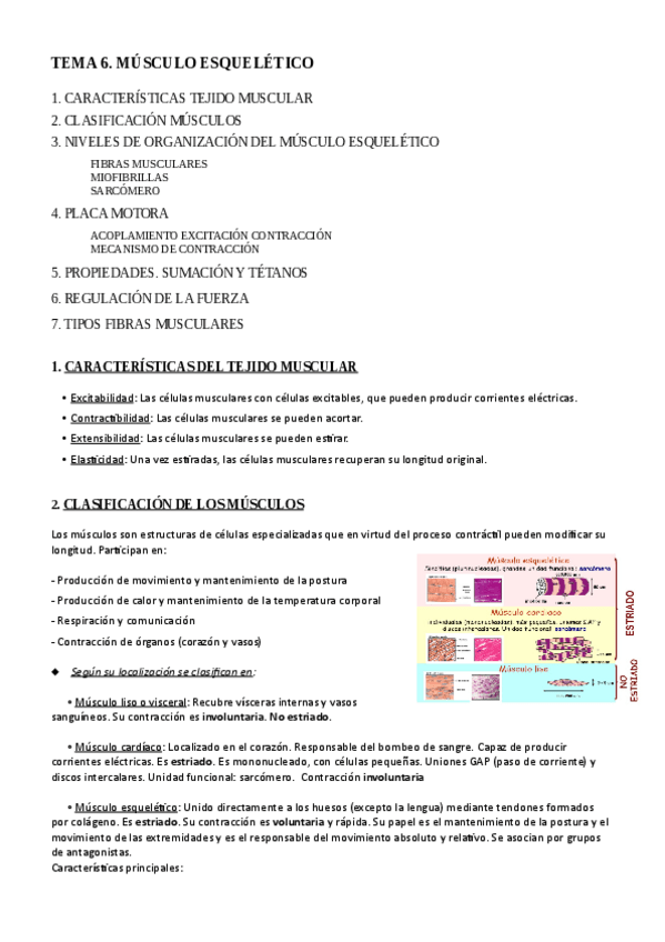 Miniatura del documento TEMA-6.pdf